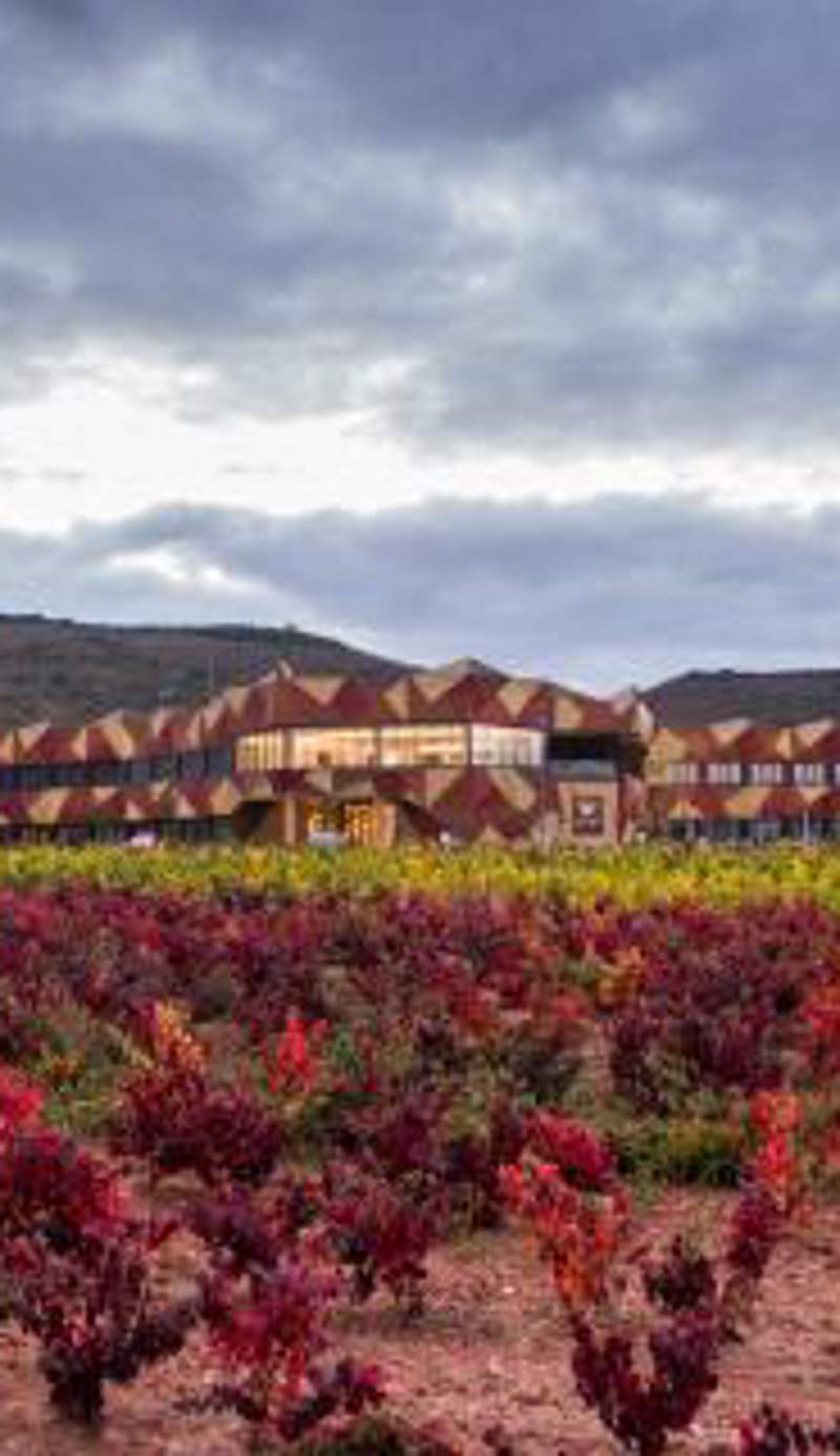 Hotel Bodega FyA - GRUPO PIÉROLA