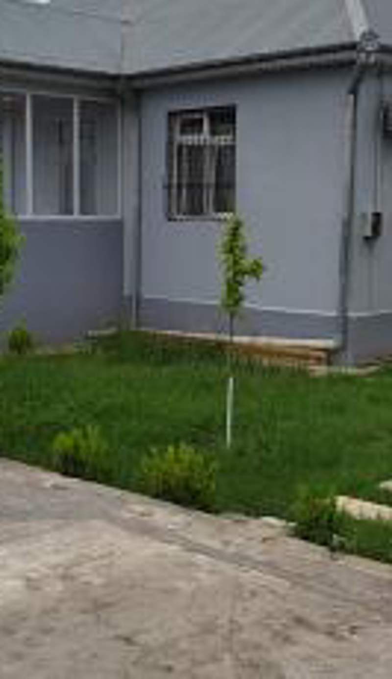 Lovely house