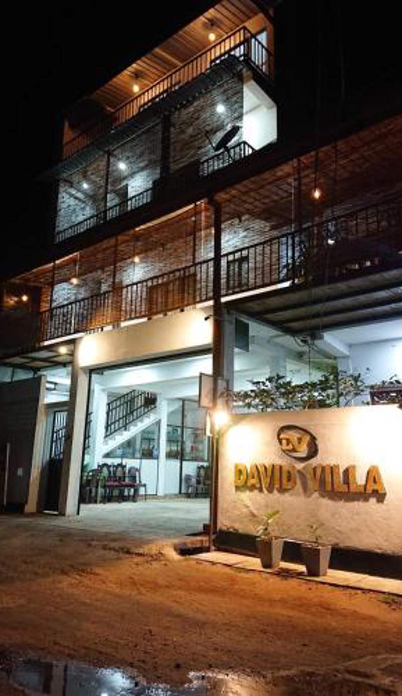 David Villa