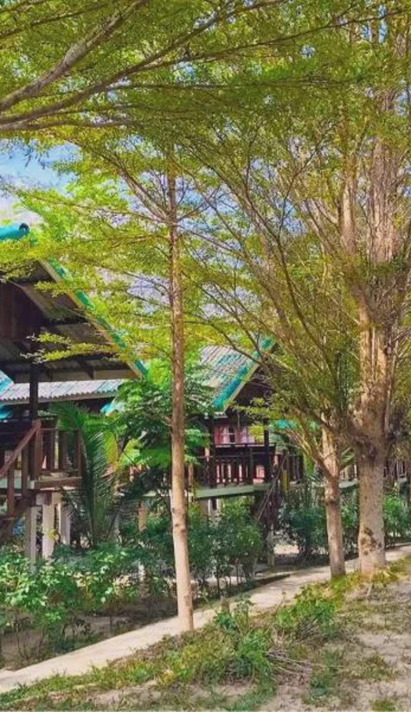 Rasta House,,Koh Phayam