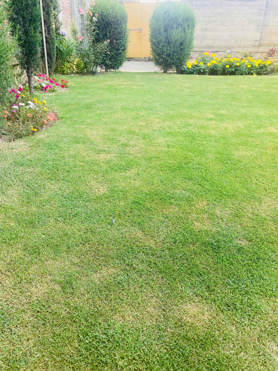 Himalayan Sun Cottage photo 3