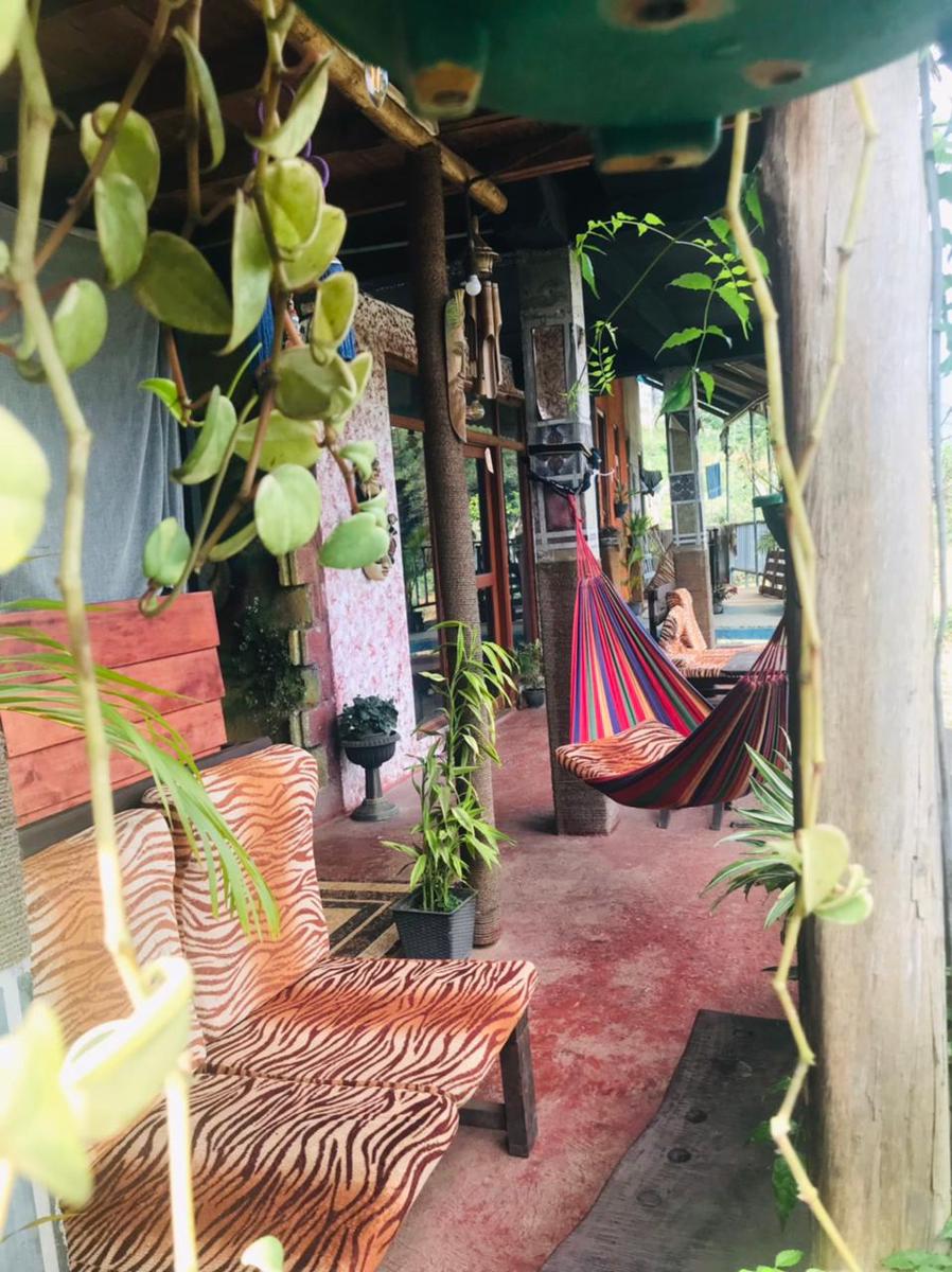 Tree House Cafe Ella photo 2