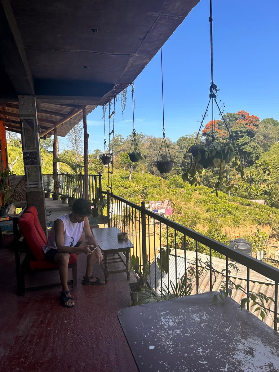 Tree House Cafe Ella photo 3