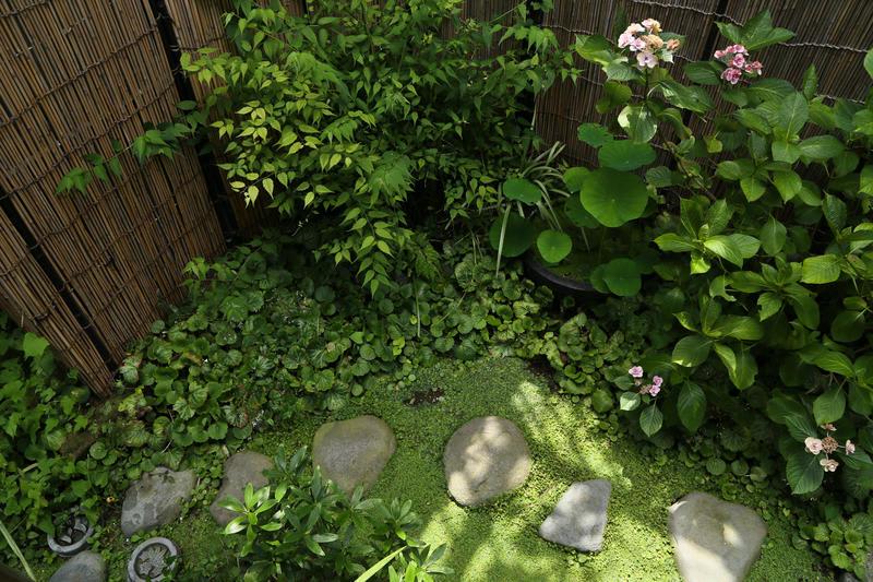 Kamejikan photo 2