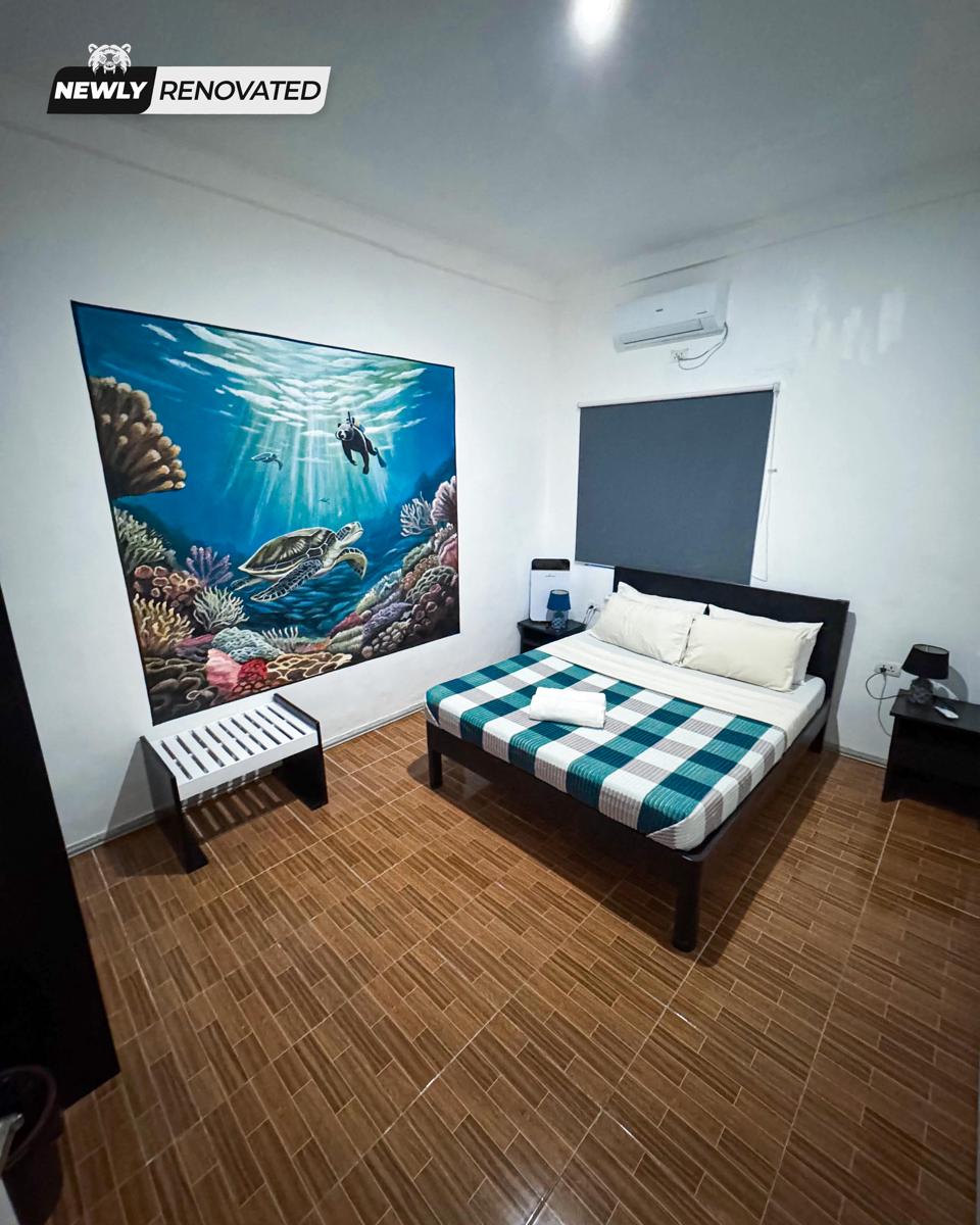 Crazy Bears Hostel photo 2