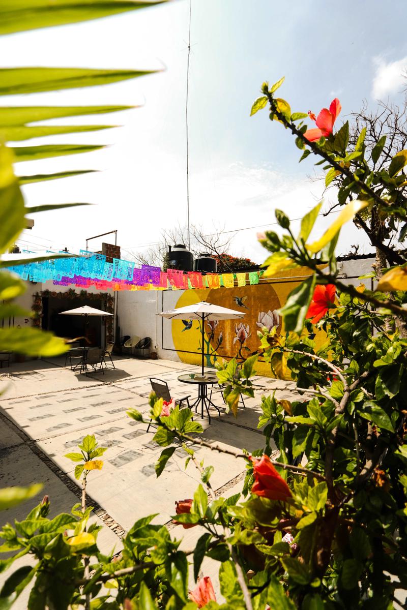 Nativo Hostel photo 3