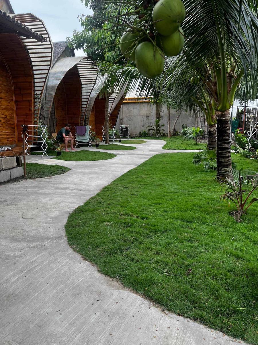 The Backyard Inn photo 1