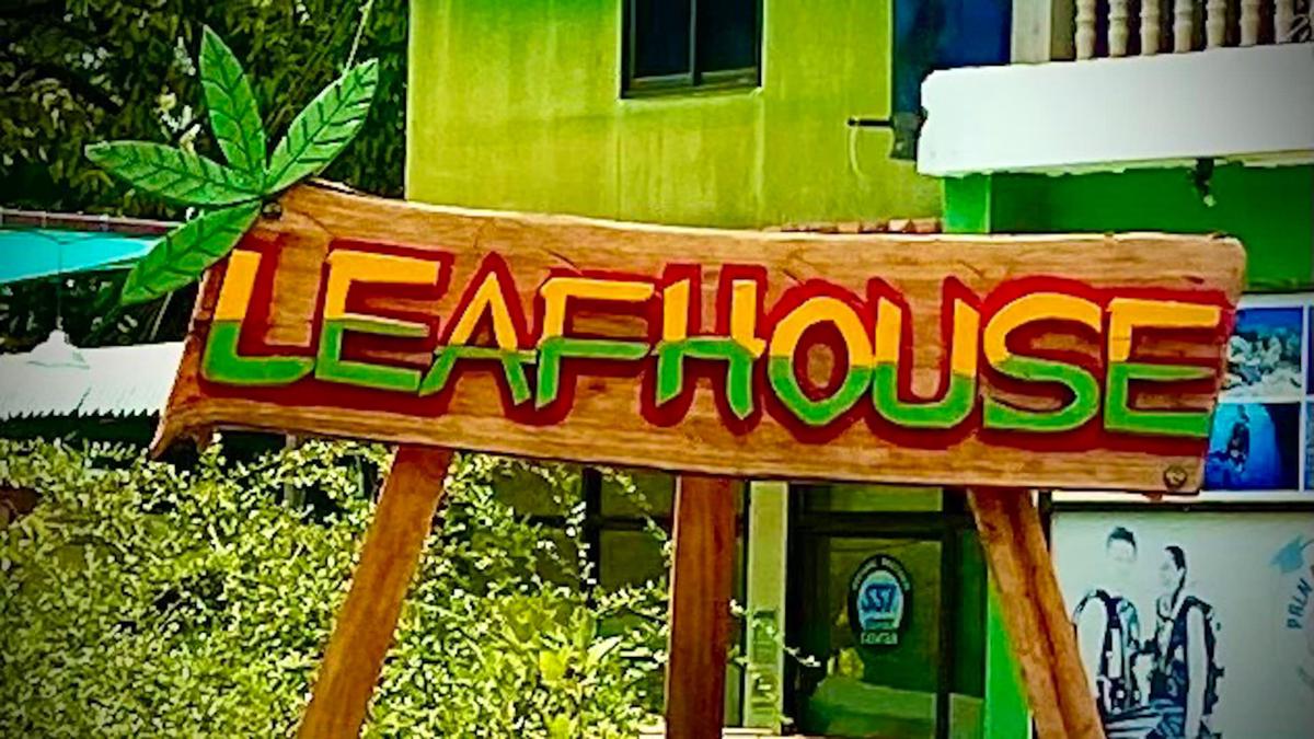 Leaf House Bungalows photo 1