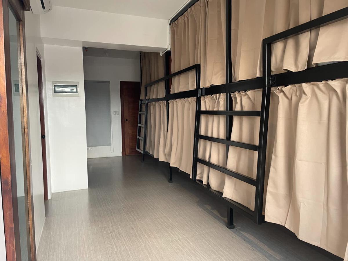 The Millas Hostel photo 4