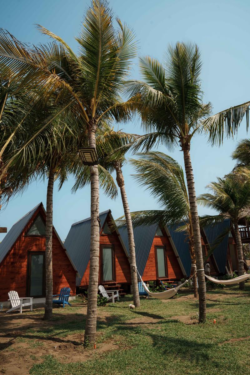 Arena Hostel photo 4