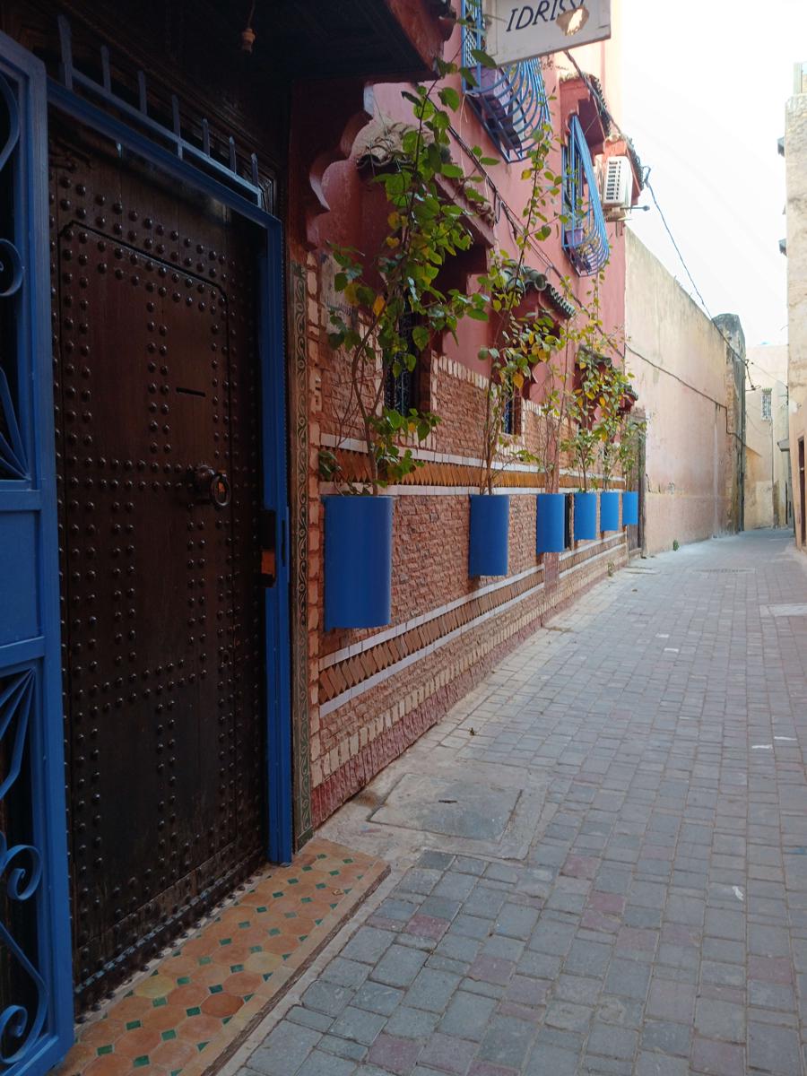 Riad Idrissi photo 4