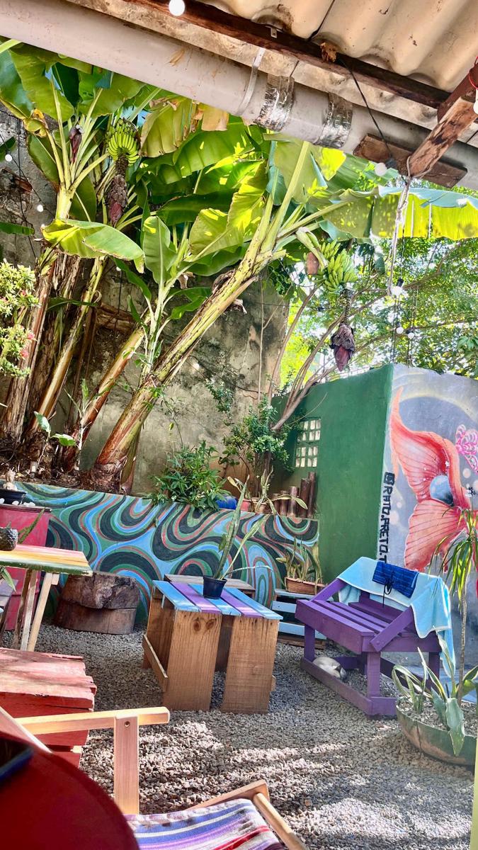 Hostel do Rasta photo 2