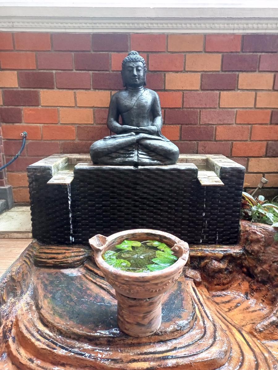 ZEN MOON Hostel photo 1