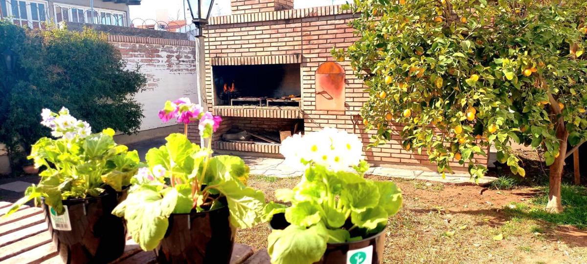 Casa Bravo photo 2
