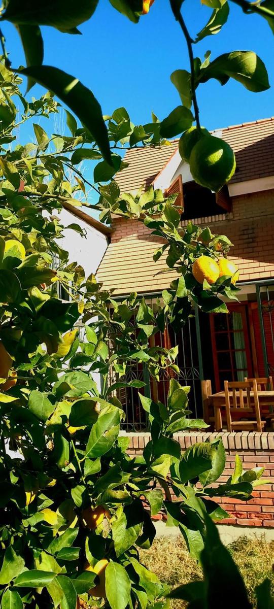 Casa Bravo photo 3