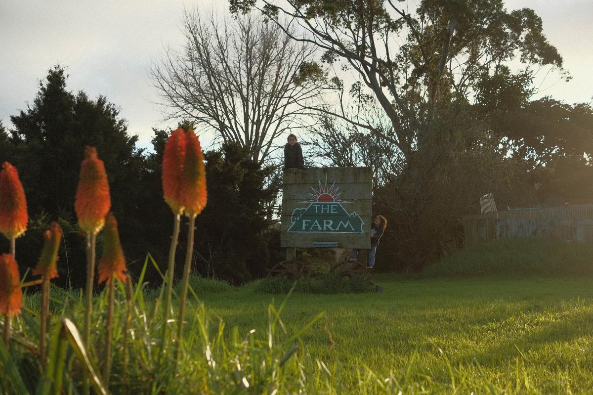 The Farm photo 1