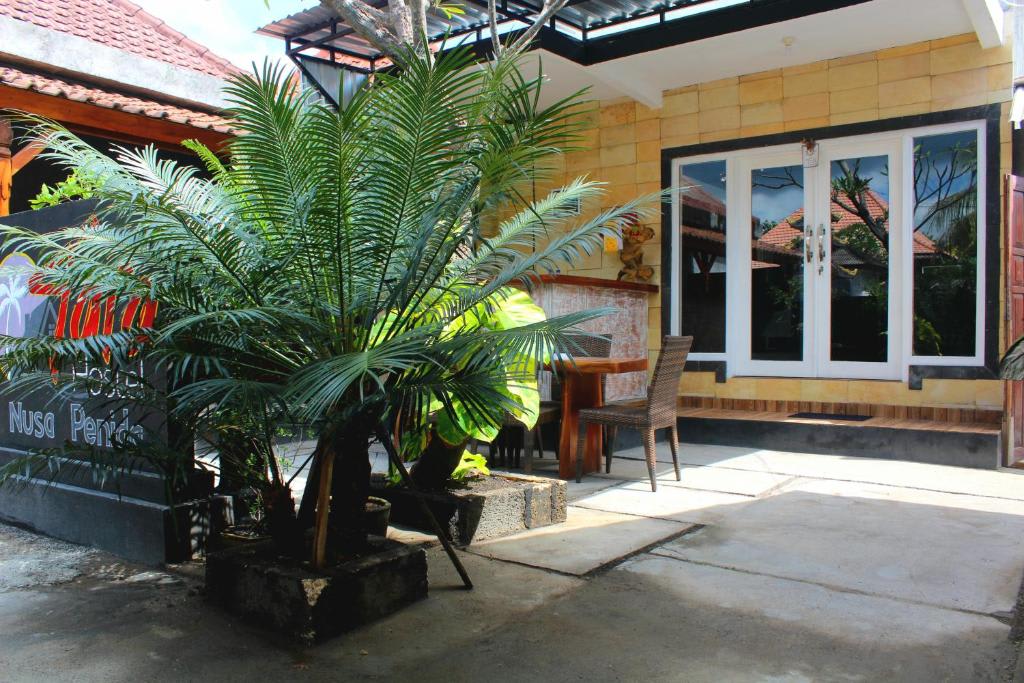 Tara Hostel photo 4