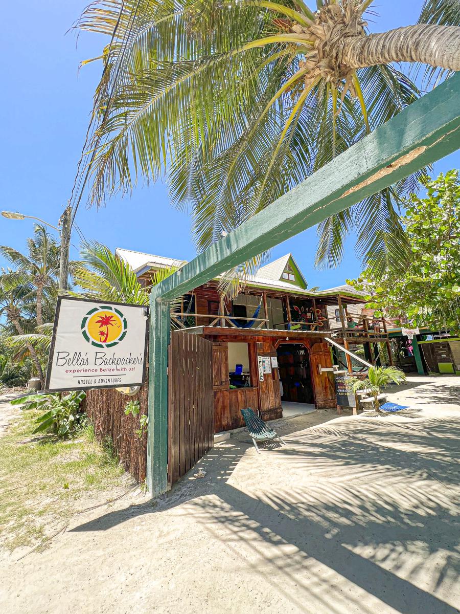 Bella's Backpackers photo 2