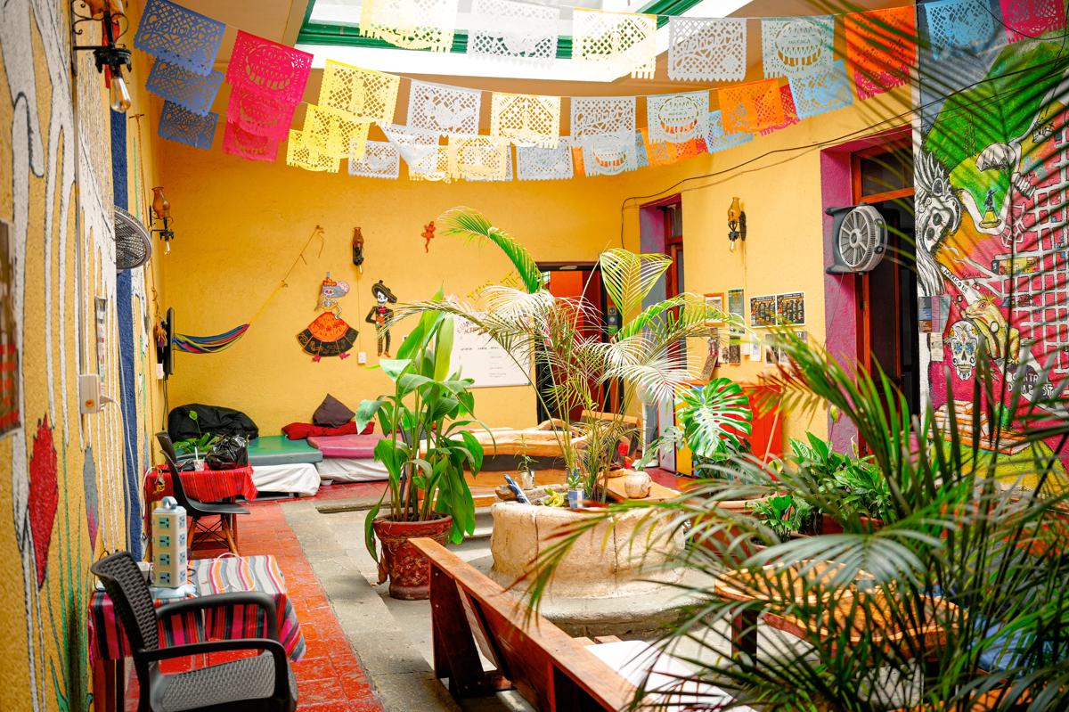 Iguana Hostel Oaxaca photo 2