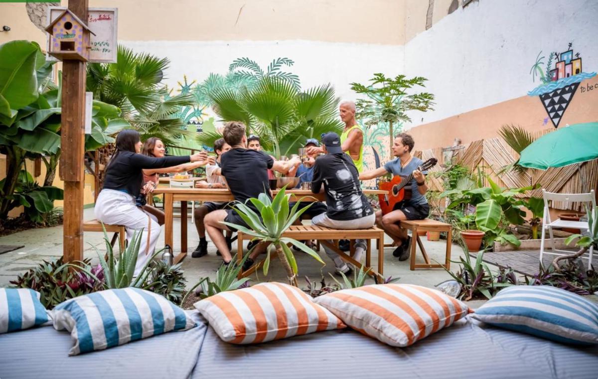 Jungle House photo 1