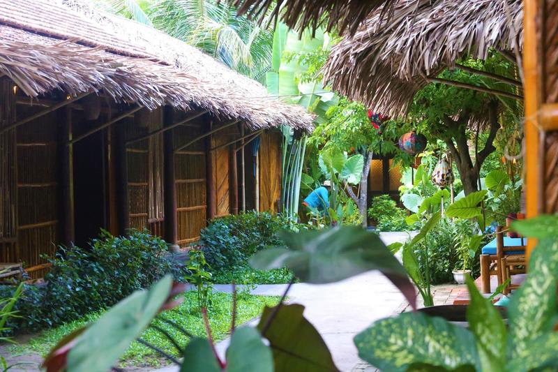Under The Coconut Tree photo 1