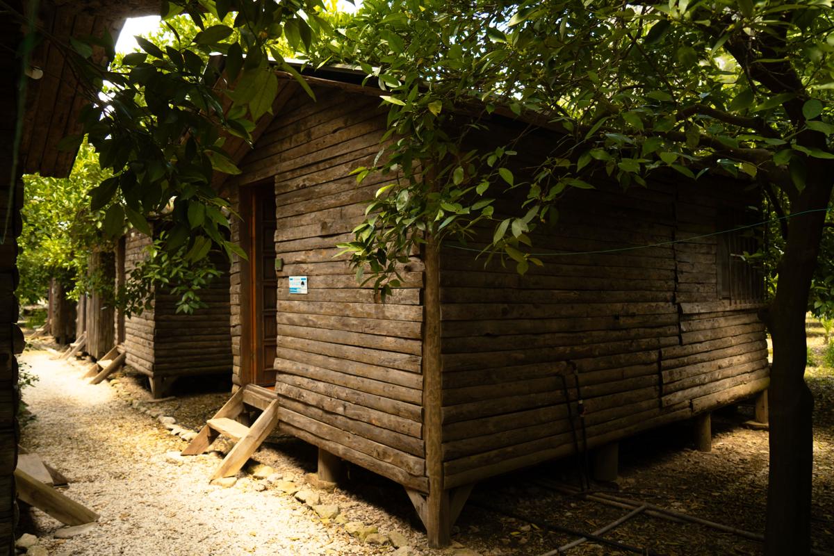Yakamoz Pension photo 4