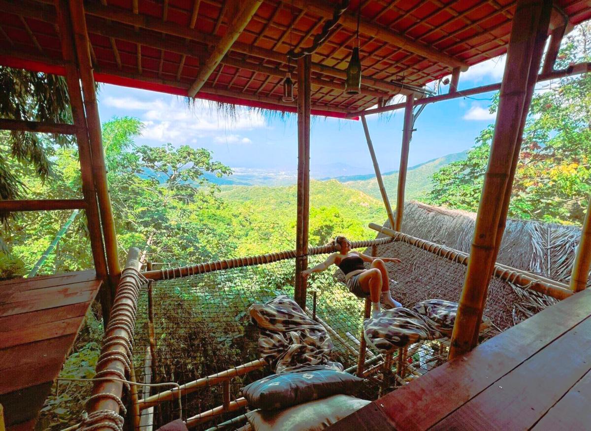 Jungle Joe Ecolodge photo 1