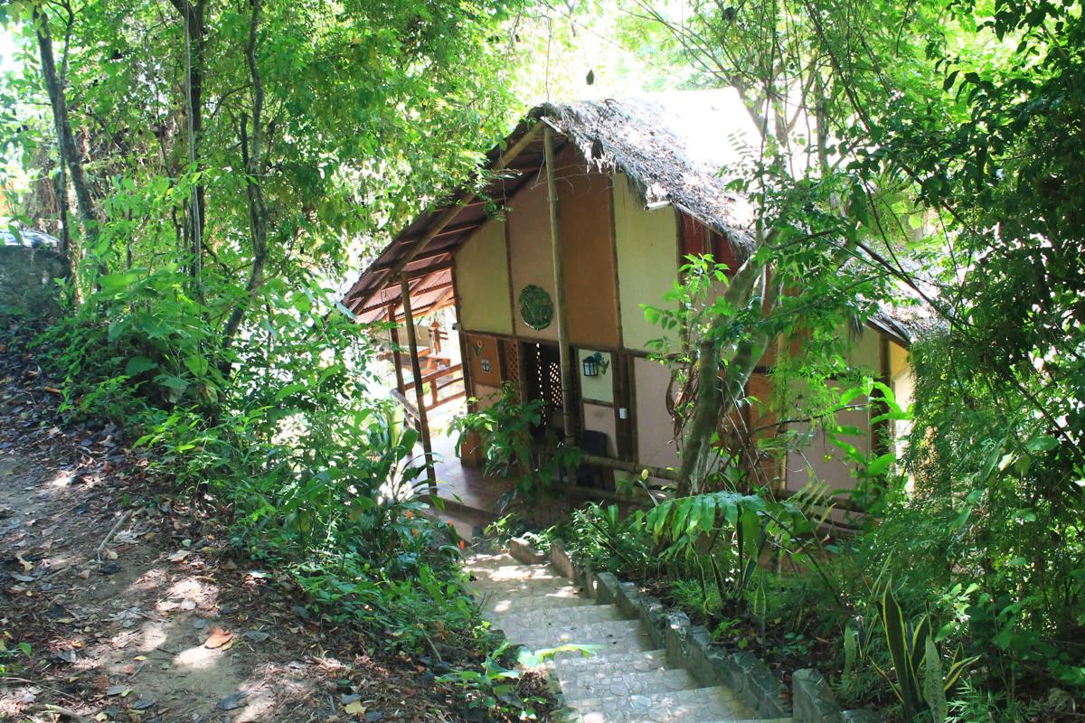 Jungle Joe Ecolodge photo 3