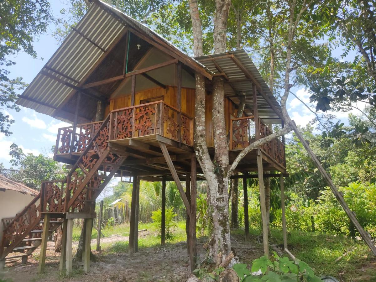 Karupa Amazonas Hostel photo 1