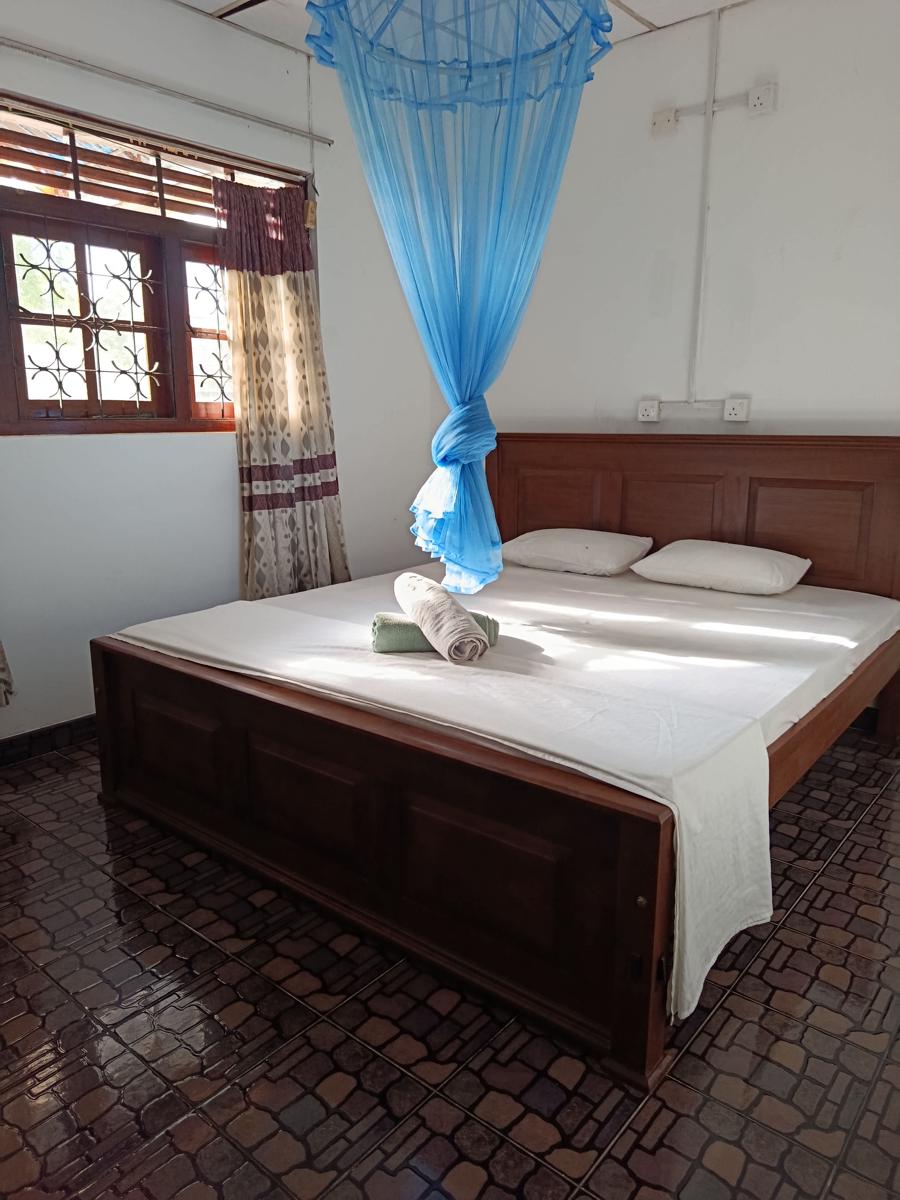 Coco Mango Hostel photo 4
