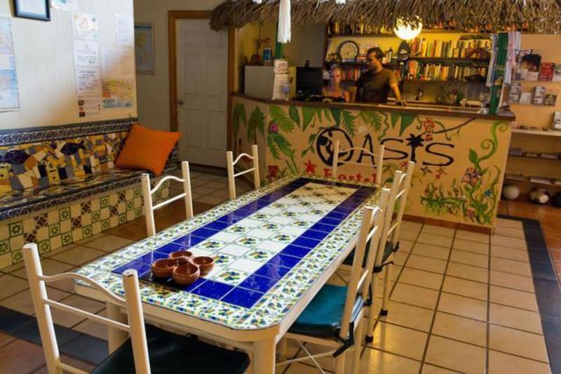 Oasis Hostel photo 1