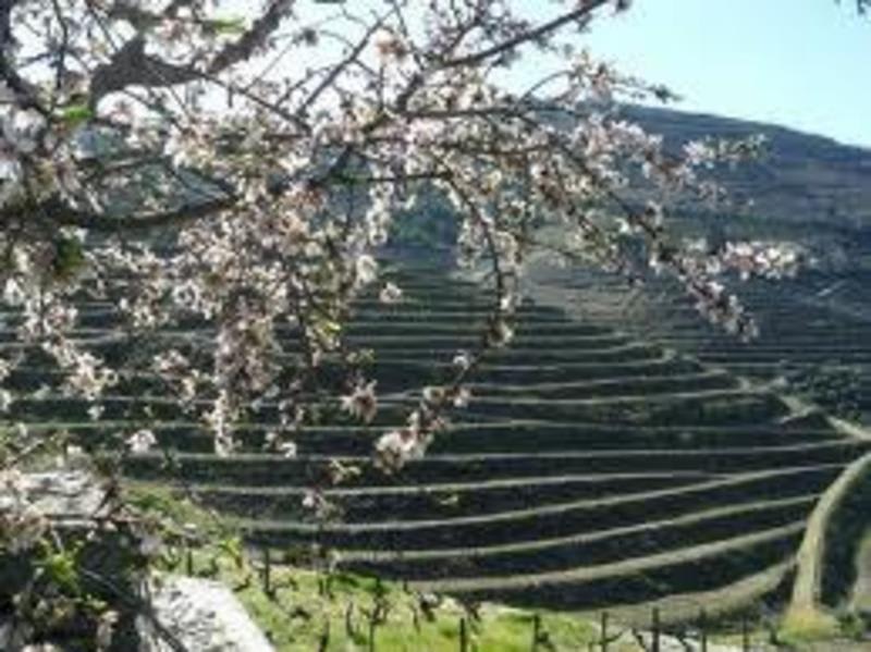 Hotel Douro Inn photo 2