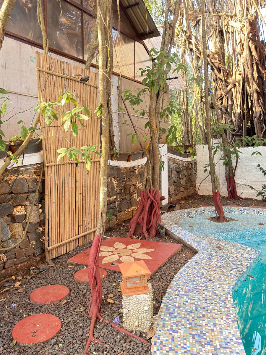 Vibes Inn Singing Tree photo 3