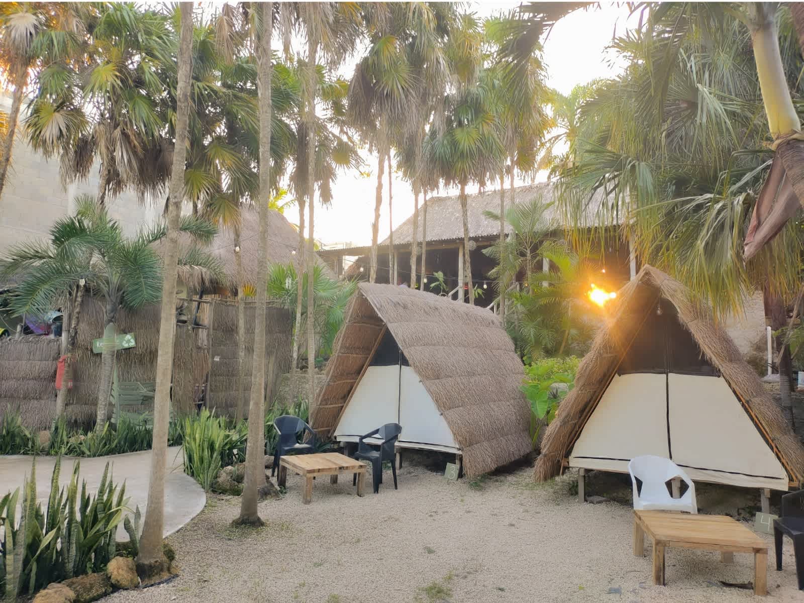 Asana Bacalar photo 4