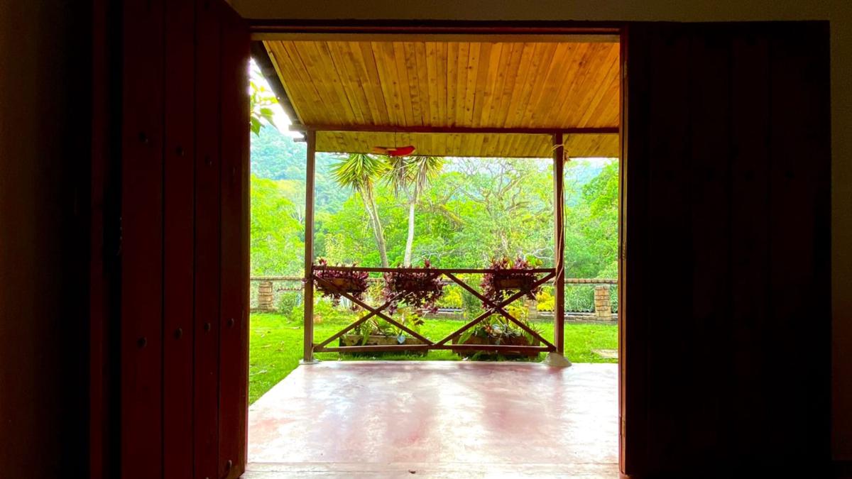 Casa Scalea photo 1
