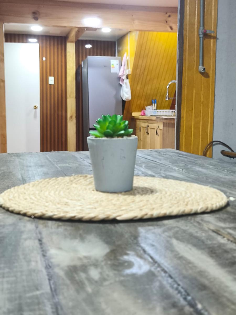VIVE HOSTEL photo 3