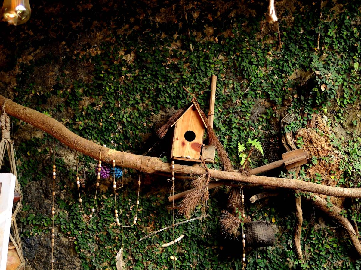 Bulbul Backpackers Farm Hostel photo 4