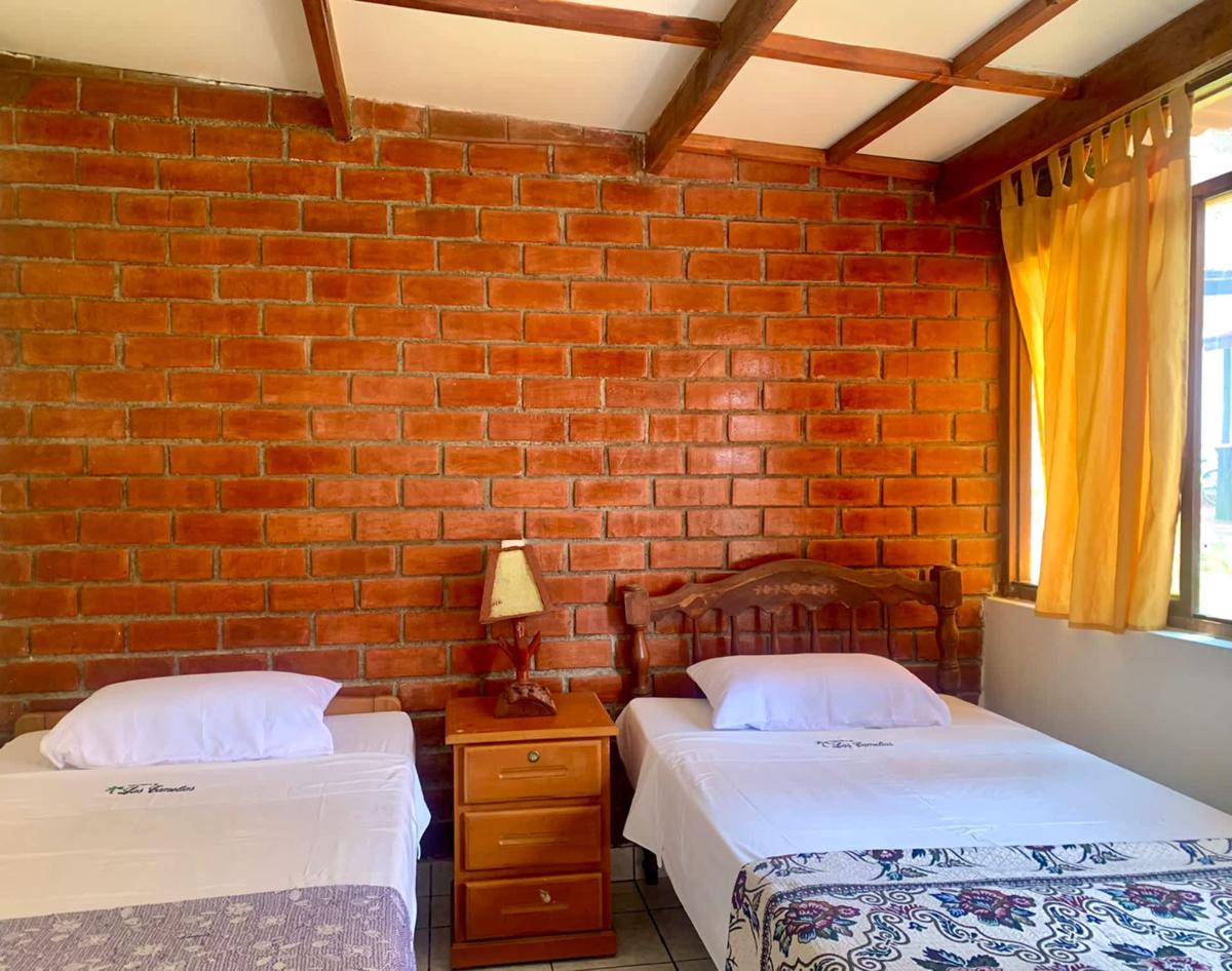 Casa Camelias photo 3