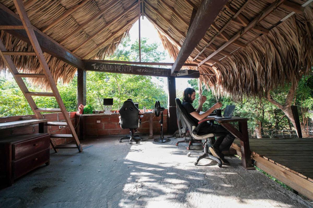 Bio Coliving Tayrona photo 4
