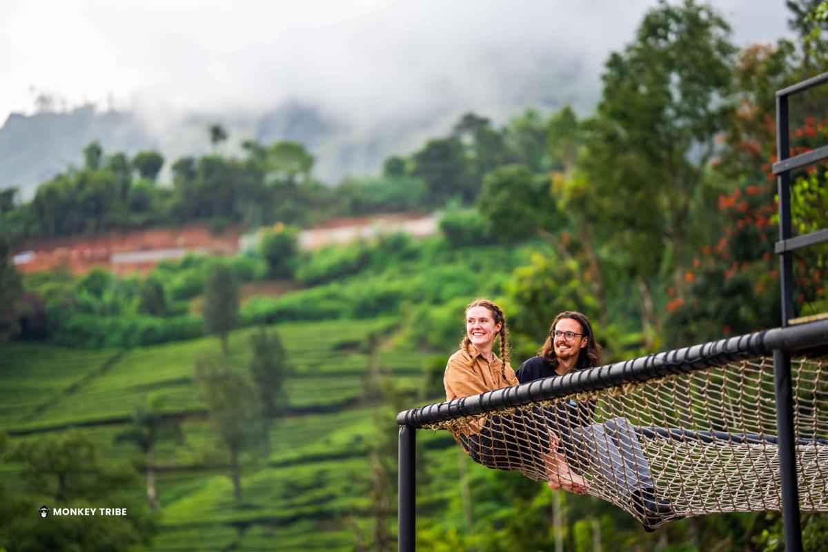 Monkey Tribe Munnar photo 2
