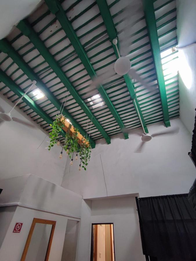 CHE Nomadas Merida photo 6