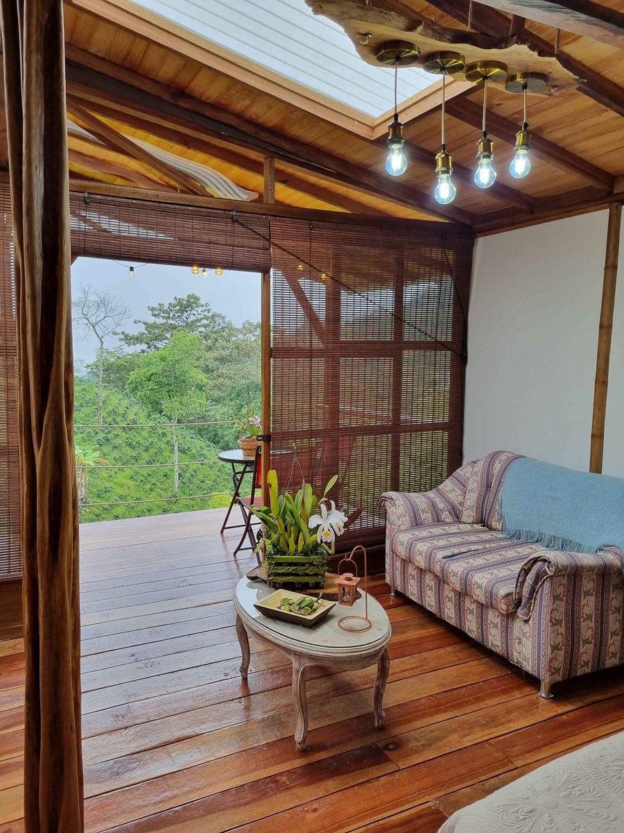 MoiraEcolodge photo 3