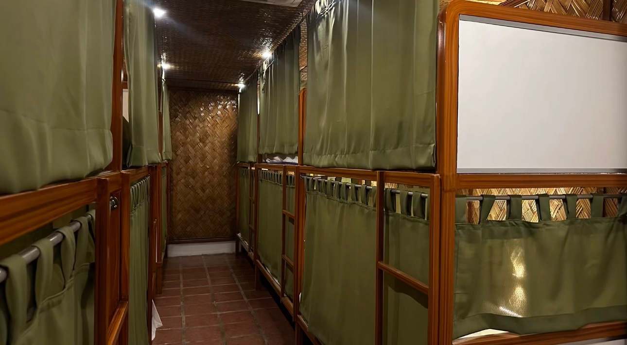 Jungle Hostel photo 3