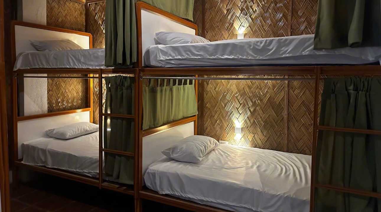 Jungle Hostel photo 4