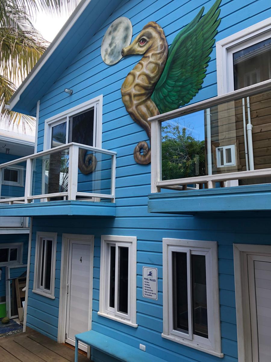 Moon Apartments photo 3
