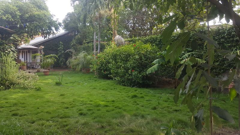 Hostal El Jardin photo 4
