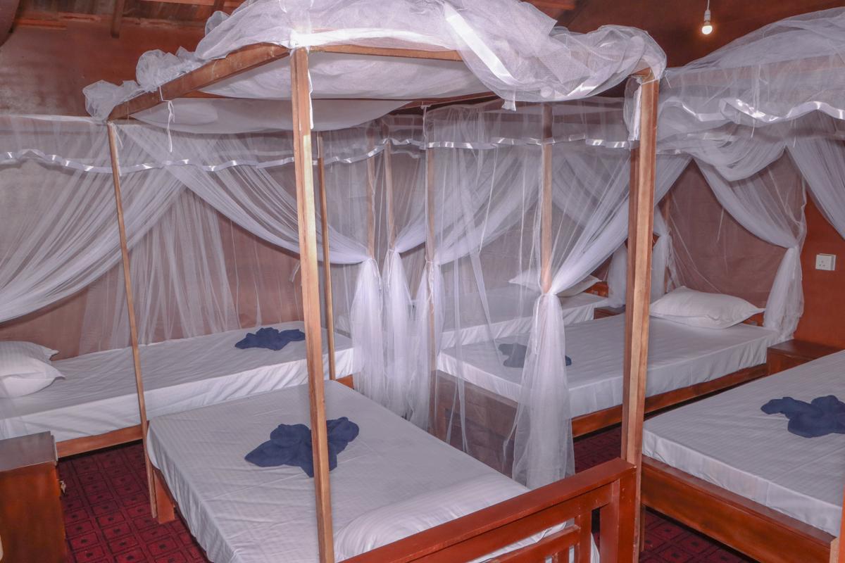 Benzai Surf Hostel photo 2