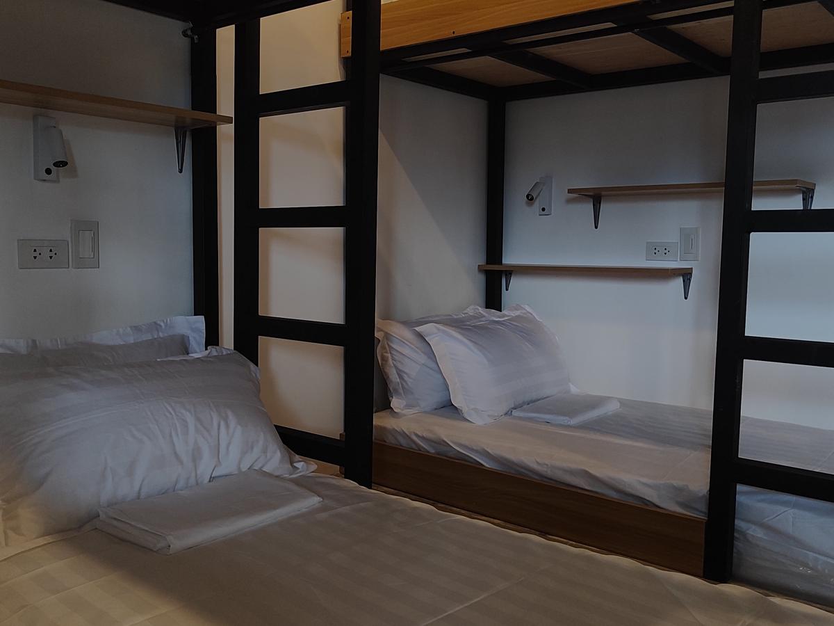X-Crib Hostel photo 2