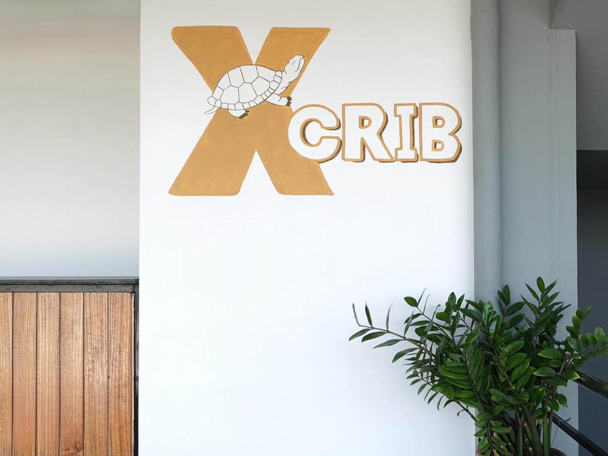 X-Crib Hostel photo 3