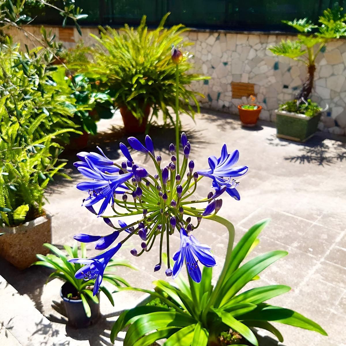 Le Tare B&B photo 2
